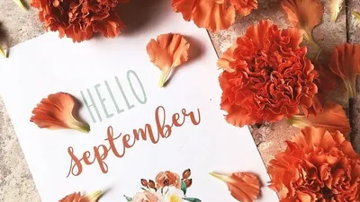 Ilustrasi Bulan September