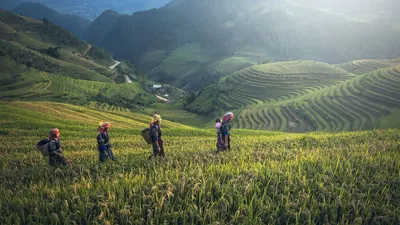 Illustrasi. Bali termasuk kota terindah di Indonesia