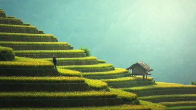 Illustrasi. 7 Kota di Indonesia yang Paling Banyak Dikujungi Wisatawan 