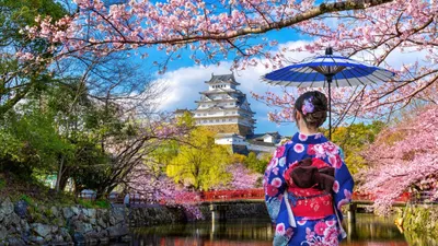 5 Filosofi Jepang yang Bisa Ditiru agar Hidup Jadi Lebih Bermakna, Yuk Terapkan dari Sekarang (Freepik)