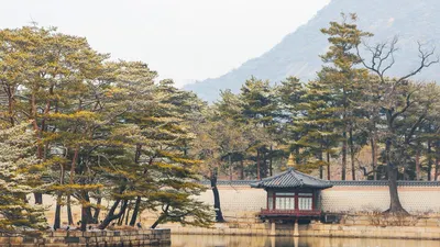 Ingin Kuliah di Korea Selatan? 10 Universitas Korea Selatan Terbaik Ini Bisa Jadi Pilihan!  