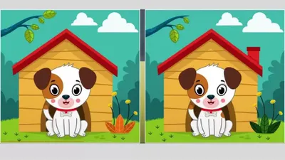 Tes IQ: Ada 5 Perbedaan pada Gambar Anjing Ini, Coba Temukan Minimal 3 Saja, Yuk Konsentrasi! (Fresherlive)