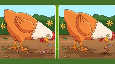 Tes IQ: Ada 5 Perbedaan pada Gambar Ayam Ini, Coba Temukan Minimal 3 Saja, Yuk Latih Konsentrasi! (fresherslive.com)