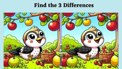 Tes IQ: Seberapa Fokus Mata Kamu? Coba Temukan 3 Perbedaan pada Gambar Burung Ini!