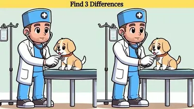 Tes IQ: Uji Kemampuan Observasi, Ayo Cari 3 Perbedaan pada Gambar Dokter yang Memeriksa Anjing Ini, Ketemu Tidak?