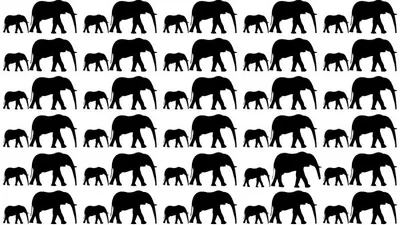 Tes Penglihatan: Yakin Punya Mata Fokus dan Tajam? Coba Cari 1 Gambar Gajah yang Paling Berbeda, Ketemu?