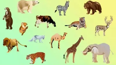 Tes IQ: Coba Tebak Hewan Manakah yang Tidak Termasuk dalam Kelompok Ini? Uji Kepintaran Kamu! (fresherslive.com)