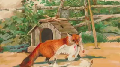 Tes IQ: Ada 2 Anjing di Gambar Ini, Tapi yang 1 di Mana ya? Apakah Kamu Melihatnya? (fresherslive.com)