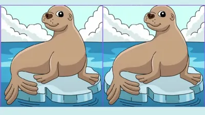 Kali ini tantangan dalam tes IQ adalah berupa mencari perbedaan dari kedua gambar yang sangat identik dan mirip.