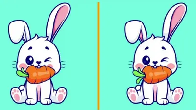 Tes IQ: Seimbangkan Otak Kanan dan Kiri, Cari 3 Perbedaan pada Gambar Kelinci yang Sedang Makan Wortel Ini (Fresherlive)