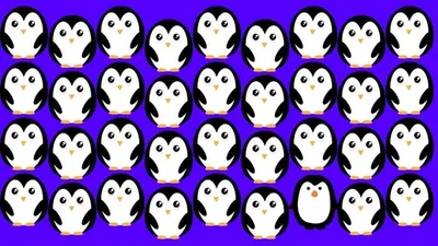 Tes Penglihatan: Yakin Punya Mata yang Fokus? Coba Temukan 1 Gambar Penguin Paling Berbeda, Bisa?