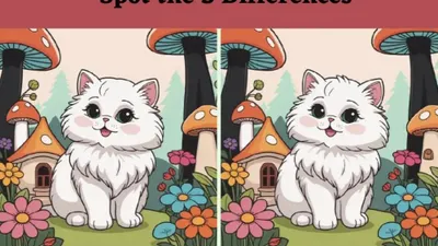 Tes IQ: Latih Fokus Mata dan Konsentrasi, Temukan 3 Perbedaan pada Gambar Kucing Lucu Ini, Bisa?