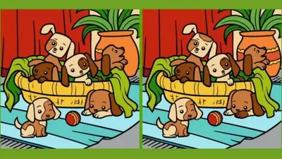Tes IQ dengan cara menemukan perbedaan pada kedua gambar ini tentu membuat kamu bisa melatih fokus mata dan ketelitian.