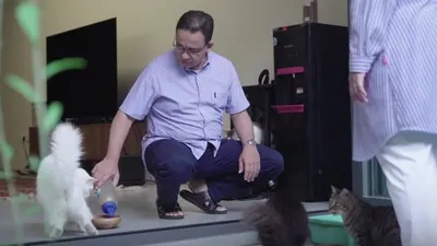 Capres di Pemilu 2024 Anies Baswedan Ternyata Sosok Penyayang Kucing, Punya Banyak Peliharaan (YouTube Anies Baswedan)