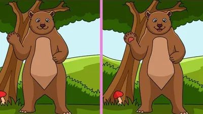 Tes IQ: Temukan 3 Perbedaan dalam Gambar Beruang Ini! Buktikan Kamu Si Paling Teliti 