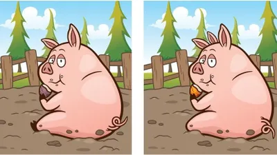 Pada tes IQ ini kamu diminta untuk menemukan 4 perbedaan yang terdapat pada gambar babi. Kemampuan observasimu akan diuji.