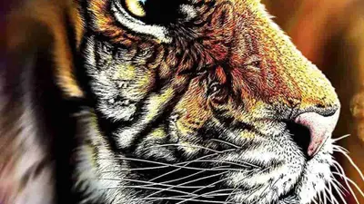 Tes Ilusi Optik: Bisa Temukan 4 Harimau Tersembunyi dalam 9 Detik?