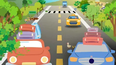 Tes Penglihatan: Hanya Mata Paling Tajam yang Bisa Lihat Katak di Jalan Raya dalam Waktu 5 Detik