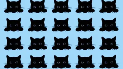 Tes Penglihatan: Asah Kemampuan Observasimu, Coba Temukan Kucing Paling Berbeda!