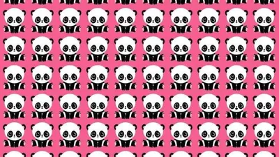 Tes Penglihatan: Ada Satu Panda yang Berbeda dalam Gambar Ini, Apakah Kamu Melihatnya? Coba Fokuskan Matamu (Jagran Josh)