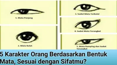 Dikenal Sebagai Jendela Jiwa, Inilah Cara Mudah untuk Mengetahui Karakter Seseorang Berdasarkan Jenis dan Bentuk Mata