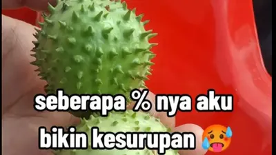 Tanaman yang dijuluki dengan istilah bunga terompet atau dikenal dengan nama kecubung, tengah menjadi sorotan warganet.