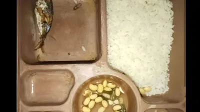 Alvin Lim sempat disebut sebagai orang gila oleh Menkumham Yasonna Laoly karena berkomentar tentang kehidupan di dalam lapas yang banyak dikuasai oleh oknum.