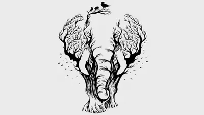 Ilustrasi tes psikologi