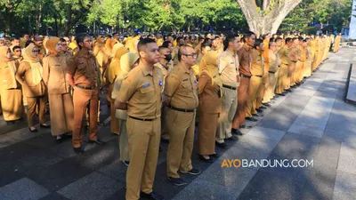 Ilustrasi jurusan yang memiliki prospek cerah dalam seleksi CPNS 2023.