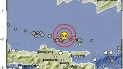 Dampak Gempa Tuban Hari Ini: Cek Daftar Korban dan Kerugian Materil