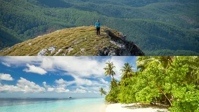 Illustrasi Pantai dan Gunung