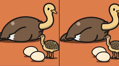 Tes Penglihatan: Coba Temukan 3 Perbedaan Pada Gambar Burung Unta