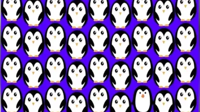 Tes IQ: Temukan Seekor Penguin yang Berbeda di antara Lainnya dalam Waktu 5 Detik!