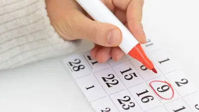 Cek Hari Penting Nasional dan Internasional Oktober 2023, Adakah Libur Nasional dan Cuti Bersama?