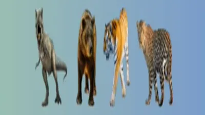 Tes Psikologi: Hewan yang Ingin Kamu Pelihara Bisa Ungkap Pandangan Pernikahan, Dinosaurus, Beruang, Harimau, atau Macan Tutul?