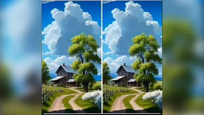 Tes Penglihatan: Buktikan Kalau Kamu Si Paling Jeli, Temukan 4 Perbedaan di Gambar Ini Dalam 15 Detik! (Tiktok @brahimmasran)
