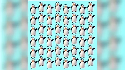 Tes Penglihatan: Mata Lelah dan Konsentrasi Menurun? Coba Temukan Penguin Paling Berbeda di Gambar Ini