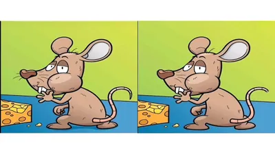 Tes IQ: Latih Kemampuan Fokus dan Konsentrasi, Temukan 9 Perbedaan di Gambar Tikus dalam Waktu 20 Detik!