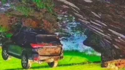 Tes IQ: Benarkah Mobil di Gambar Tergantung di Pohon? Uji Kemampuan Analisa dan Imajinasimu!  