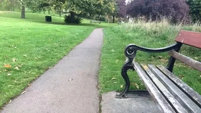 Tes Ilusi Optik: Temukan Seekor Anjing yang Sembunyi pada Gambar, Uji Penglihatan dan Konsentrasi Kamu!