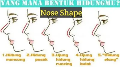 Fakta Karakter Manusia yang Terlihat dari Bentuk Hidung,&nbsp;Dipercaya Menyimpan Rahasia Pribadi Tidak Terduga