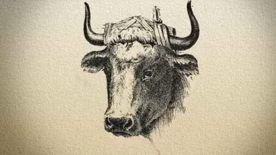 Tes Ketajaman Mata Menemukan Gambar Wajah di Kepala Banteng