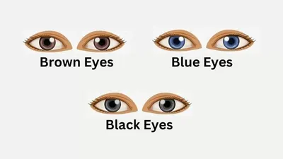 Tes Kepribadian: Warna Mata Mengungkapkan Sifat Tersembunyi Kamu, Tapi Orang Indonesia Umumnya Warna Hitam