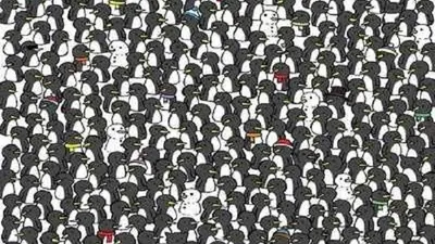 Ilusi Optik untuk Tes IQ: Temukan 3 Kucing Tersembunyi di antara Penguin Ini, Otak Cerdas Langsung Tau Lho