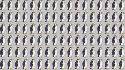 Tes Penglihatan: Temukan Penguin yang Berbeda dalam 11 Detik