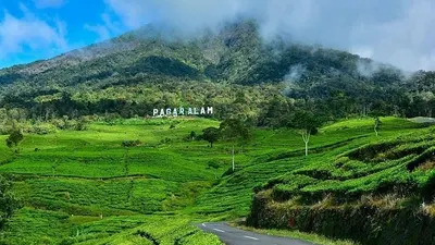 Kebun Teh Pagaralam | Apakah kamu penasaran kota apa saja yang masuk dalam kategori kota tersepi di Indonesia? Simak artikel ini untuk mencari tahu jawabannya.