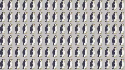 Tes Penglihatan: Kerahkan Keterampilan Observasi dan Temukan Pinguin Paling Berbeda dari Gambar Ini, Ketemu?