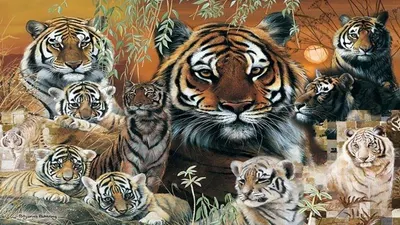 Tes IQ Hitung Jumlah Harimau yang Ada di Gambar