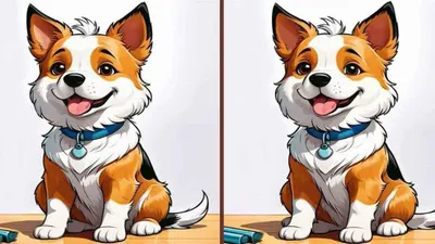 Tes IQ: Asah Kemampuan Observasi, Yuk Coba Temukan 3 Perbedaan pada Gambar Anjing Ini, Bisa?