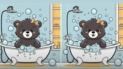 Mari mulai perhatikan dengan teliti kedua gambar beruang berwarna hitam ini, dan temukan 3 perbedaan yang ada dengan cepat dan tepat!